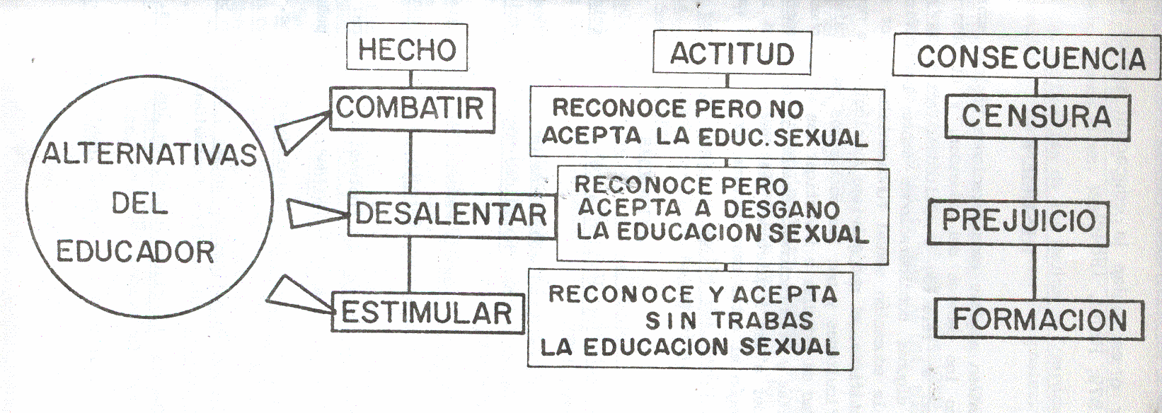 Alternativas educador