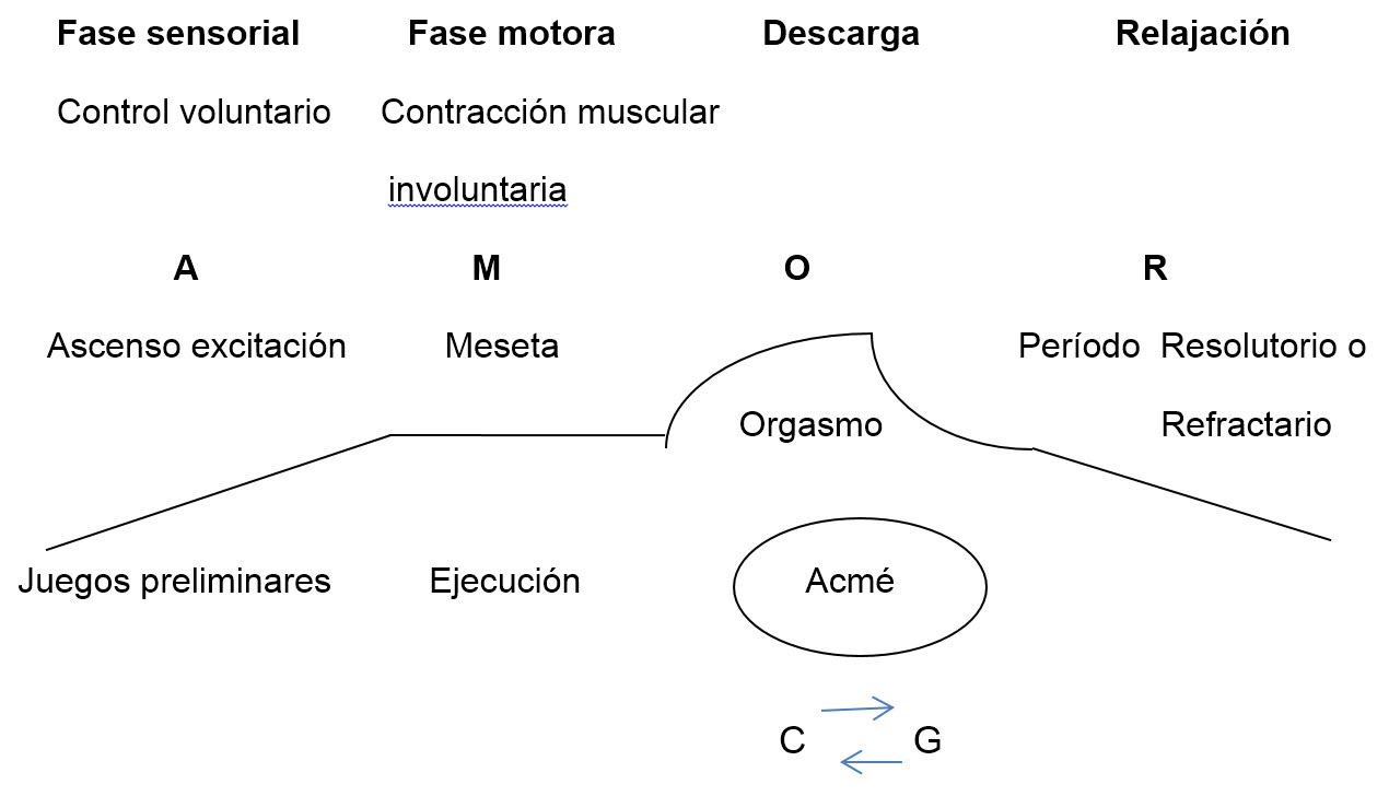 Imagen 05