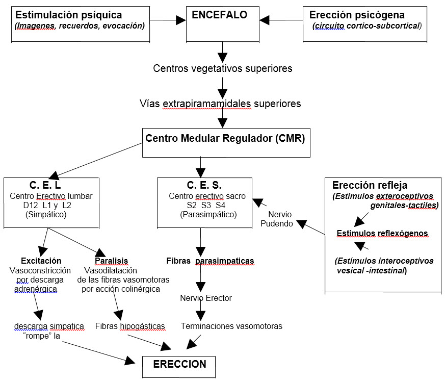 Imagen 07