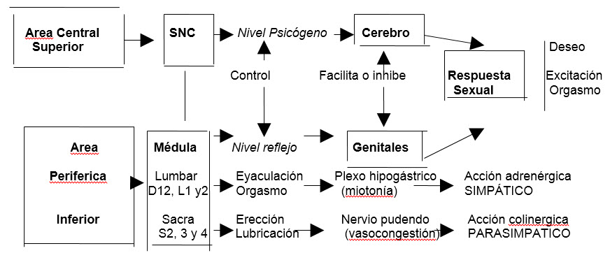 Imagen 08