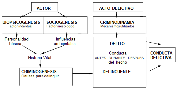 Semiología de la conducta delictiva