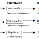 Bases neurobiológicas de la conducta sexual